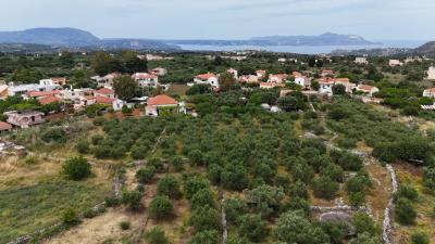 Land-for-sale-in-Litsarda-Apokoronas-Chania-Crete--3-