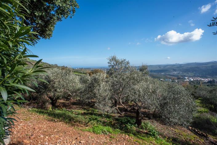 Image No.42-5 Bed Villa for sale