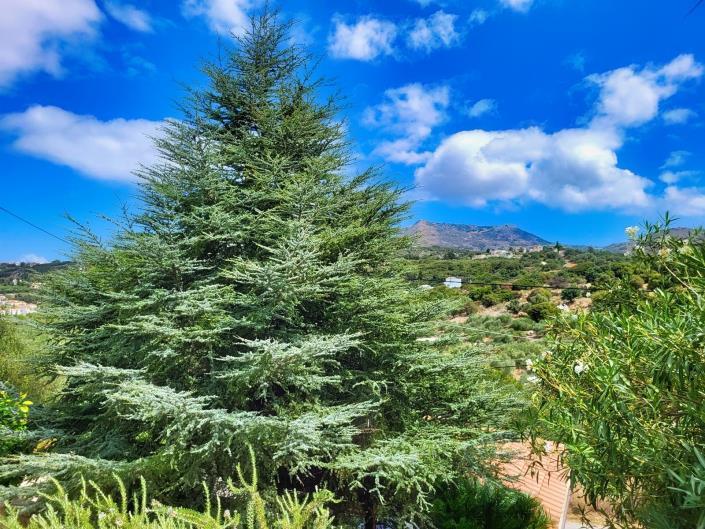 Image No.29-4 Bed Villa for sale