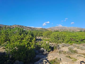 Seafront-plot-in-Chania-Crete-for-sale--12-