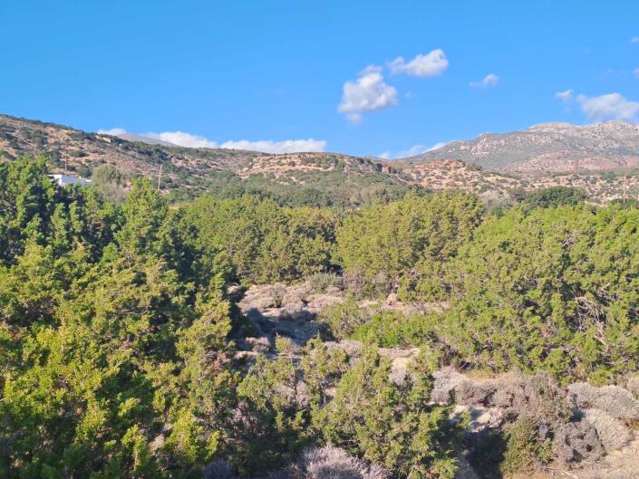 Image No.10-Land for sale