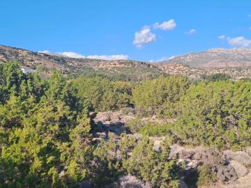 Seafront-plot-in-Chania-Crete-for-sale--13-