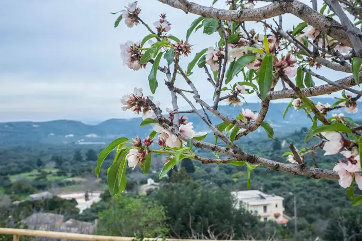 Image No.49-Villa de 3 chambres à vendre à Kissamos