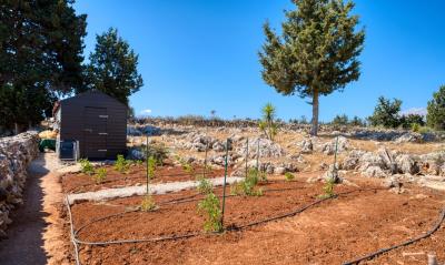 House-in-Apokoronas-Chania-Crete-for-sale--3-