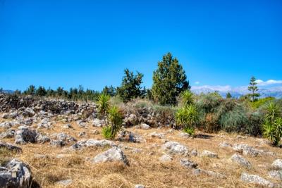 House-in-Apokoronas-Chania-Crete-for-sale--6-