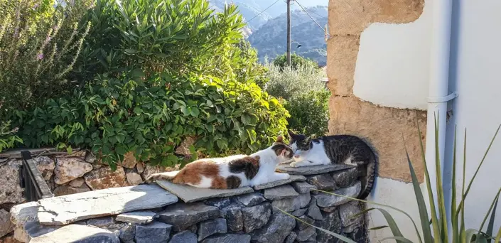 Image No.34-2 Bed House for sale