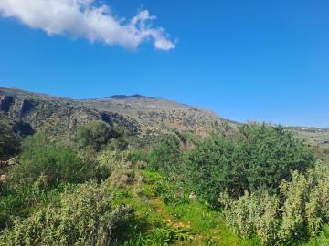 Plot-for-sale-in-Chania-Crete--1-