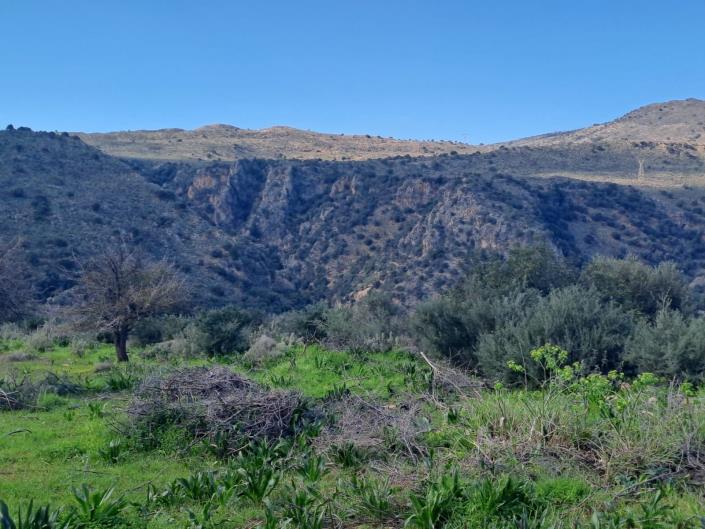 Image No.3-Land for sale