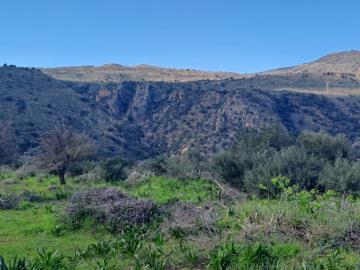 Plot-for-sale-in-Chania-Crete--2-