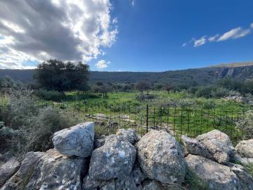Plot-for-sale-in-Chania-Crete--5-