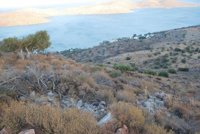 Plot-of-land-for-sale-in-Elounda-Lasithi-Crete--1-