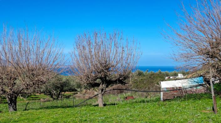 Image No.15-House for sale