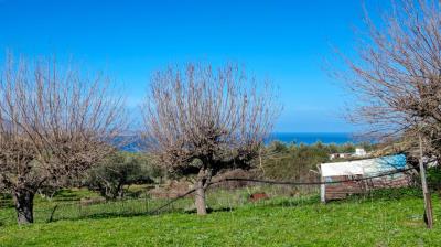 Renovation-project-with-sea-views-for-sale-in-Chania-Crete--15-