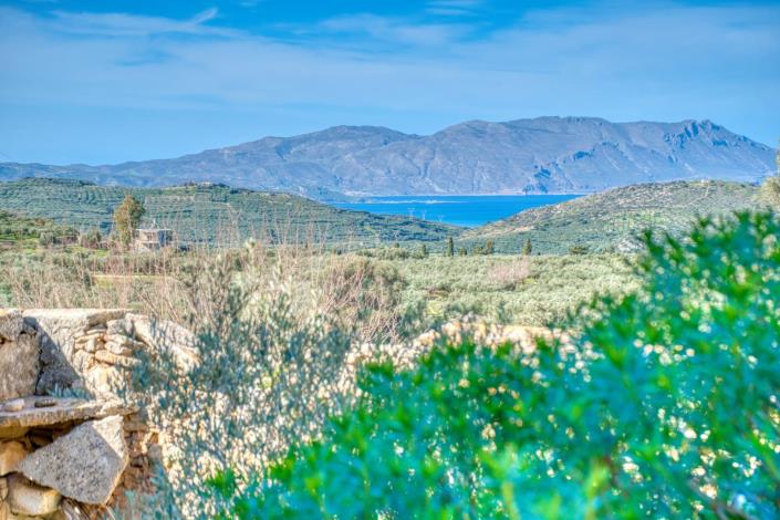 Image No.18-House for sale