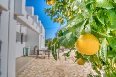 Villa-in-Apokoronas-Chania-Crete-for-sale--9-