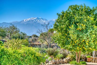 Villa-in-Apokoronas-Chania-Crete-for-sale--10-