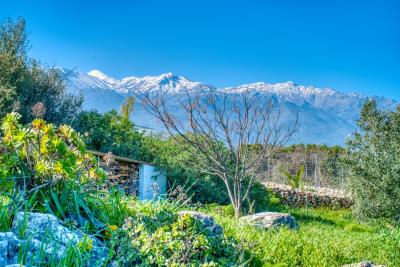 Villa-in-Apokoronas-Chania-Crete-for-sale--15-