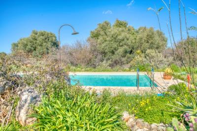 Villa-in-Apokoronas-Chania-Crete-for-sale--16-