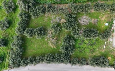 Off-plan-stone-villa-in-Chania-Crete-for-sale--25-