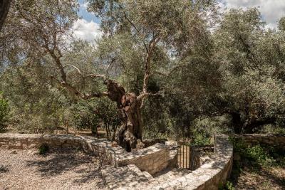Stone-villa-for-sale-in-Chania-Crete--8-