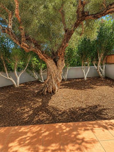 Image No.3-2 Bed House for sale