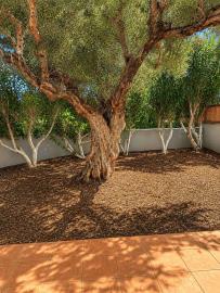 House-in-Tavronitis-Chania-Crete-for-sale--12-