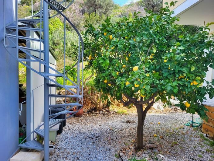 Image No.18-2 Bed House for sale