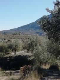 alcoi12
