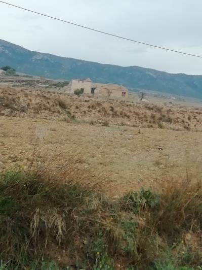 Image No.2-Plot for sale