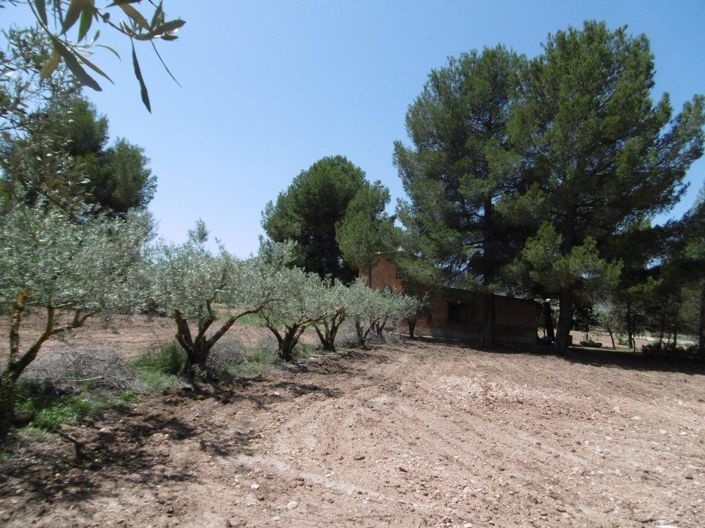 Image No.10-5 Bed Villa for sale