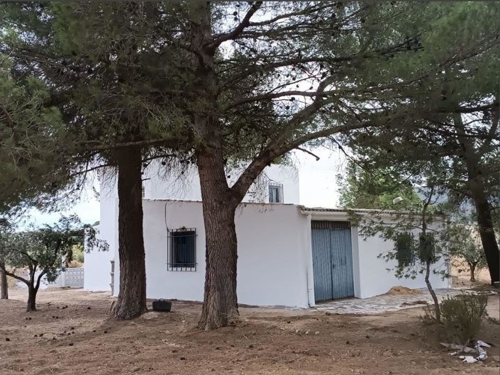 Image No.4-5 Bed Villa for sale