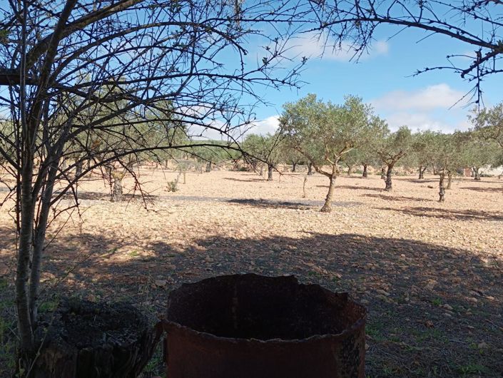 Image No.13-2 Bed Country House for sale