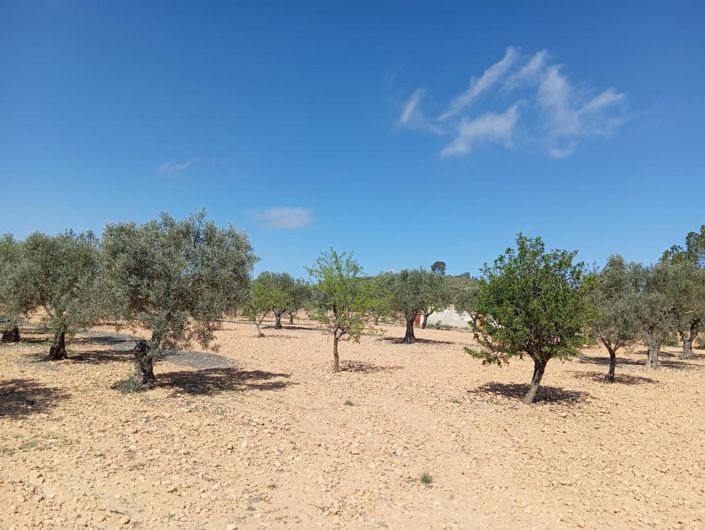 Image No.3-2 Bed Country House for sale