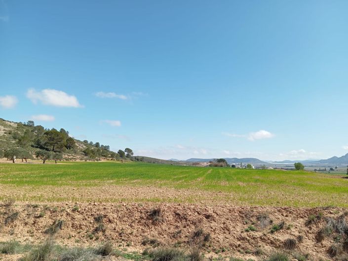 Image No.4-2 Bed Country House for sale