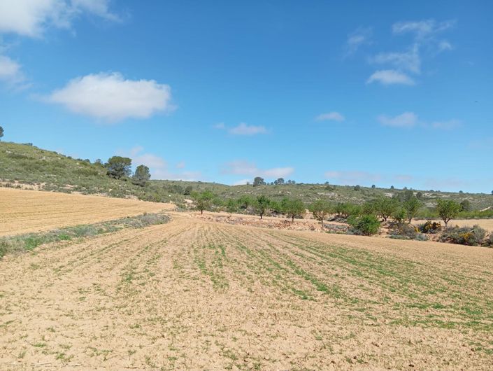 Image No.5-2 Bed Country House for sale