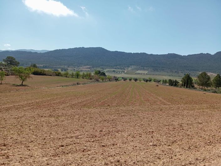 Image No.6-2 Bed Country House for sale