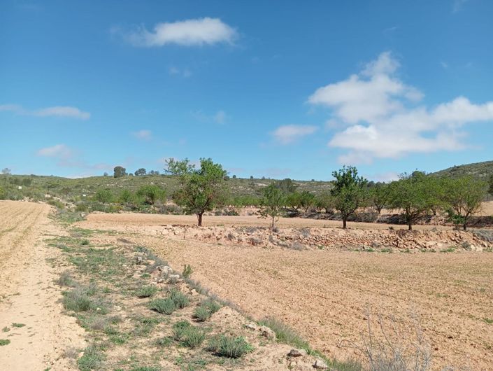 Image No.7-2 Bed Country House for sale