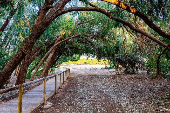 Image No.41-Bungalow de 3 chambres à vendre à Torrevieja