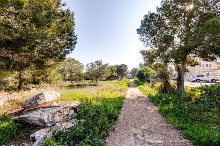 Image No.46-Bungalow de 3 chambres à vendre à Torrevieja