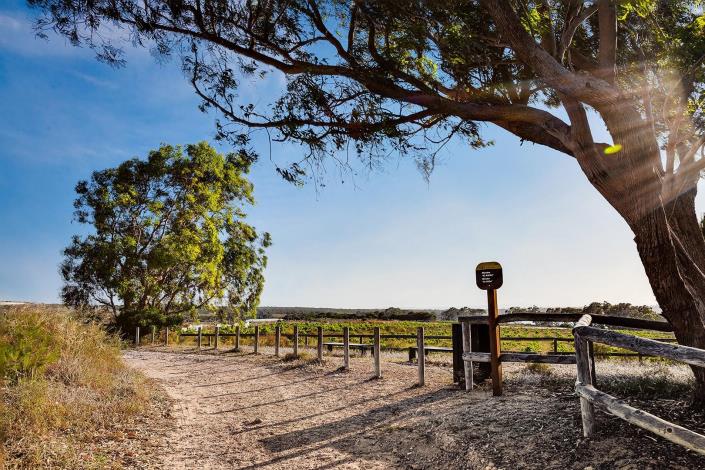 Image No.51-Bungalow de 3 chambres à vendre à Torrevieja