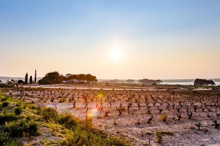 Image No.49-Bungalow de 2 chambres à vendre à Torrevieja
