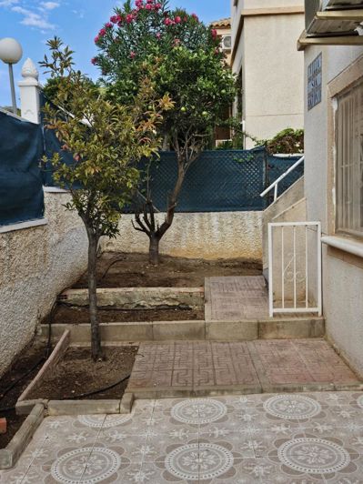 Image No.16-Maison de 3 chambres à vendre à Torrevieja