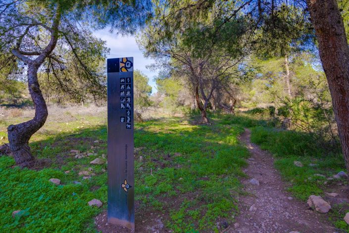 Image No.38-Propriété de 2 chambres à vendre à Torrevieja