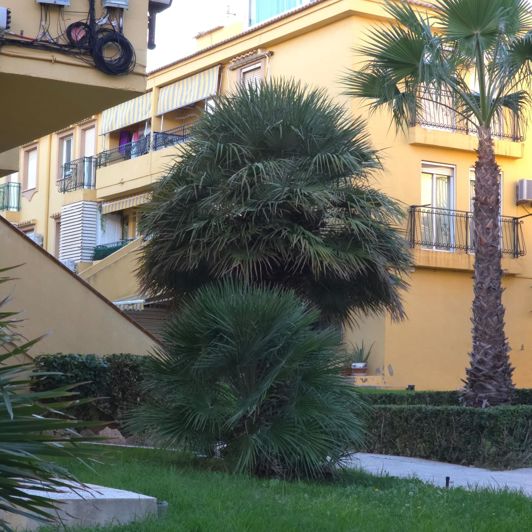 Image No.2-2 Bed Penthouse for sale