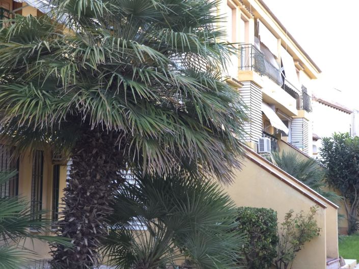 Image No.3-2 Bed Penthouse for sale