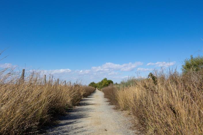 Image No.46-3 Bed Bungalow for sale