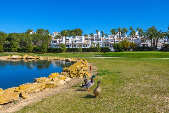 Image No.13-2 Bed Bungalow for sale