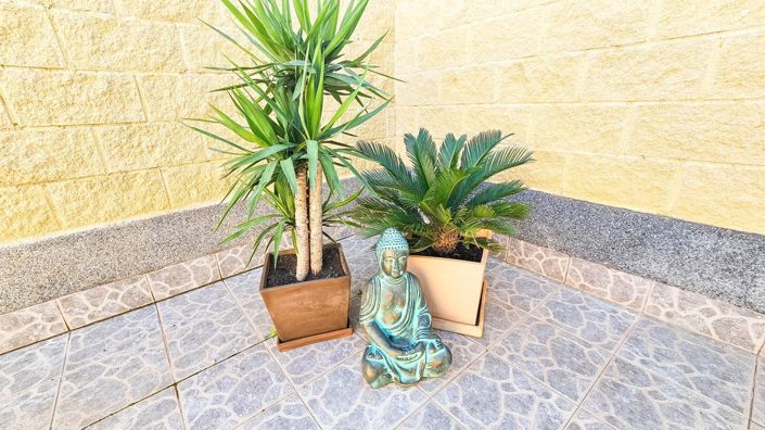 Image No.25-2 Bed House for sale