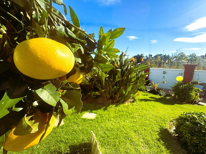 Image No.18-Villa de 2 chambres à vendre à Casares