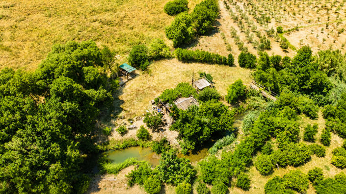 Image No.27-4 Bed Finca for sale